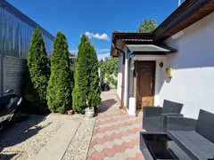 Colentina - Andronache